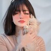 网飞猫